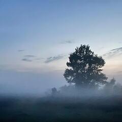 23-09-12 20-42-27 6802